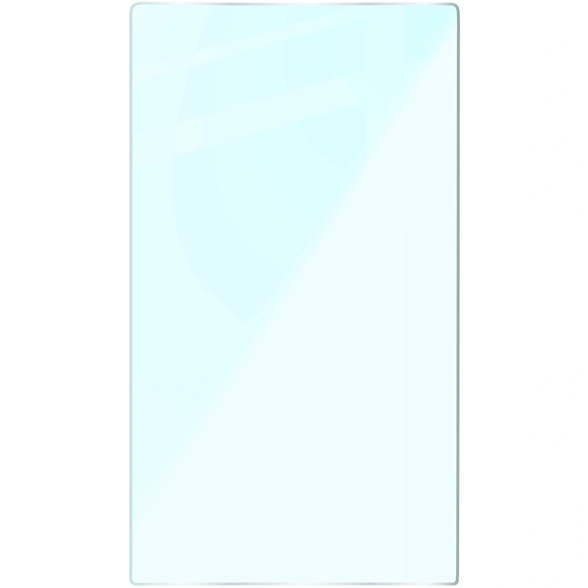 Kryt Bizon Glass Tab Clear Nintendo Switch 2 [2 PACK]