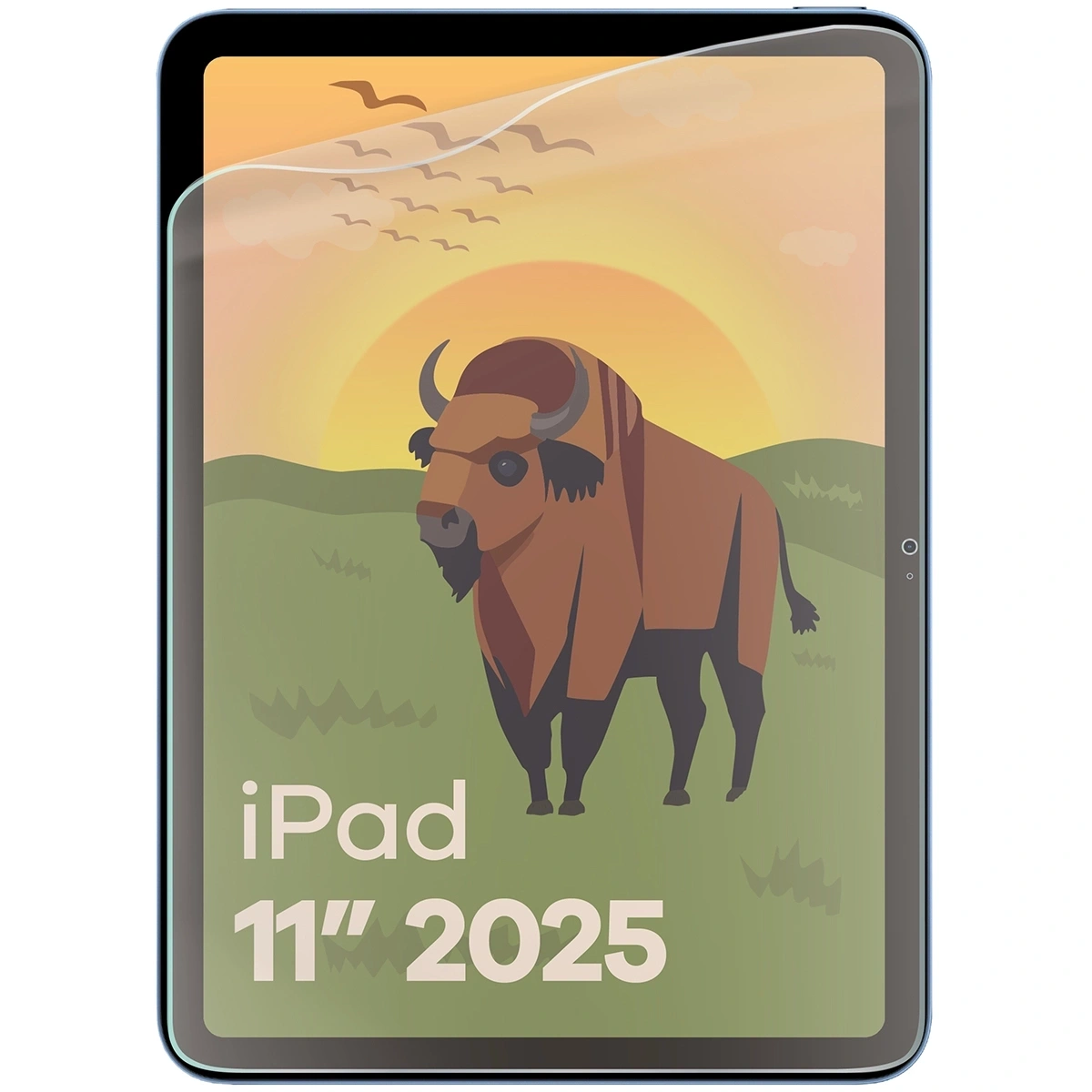 Ochranné sklo Bizon Glass Tab Film Sun Apple iPad 10.9" 2022 / 11" 2025 [2 PACK]