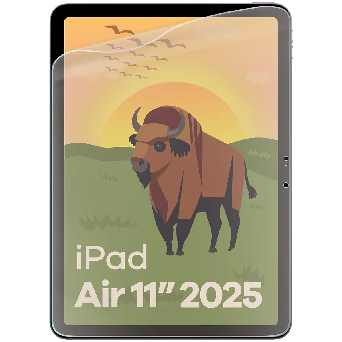 Ochranné sklo Bizon Glass Tab Film Sun Apple iPad Air 13" 2024 / 13" 2025 [2 PACK]