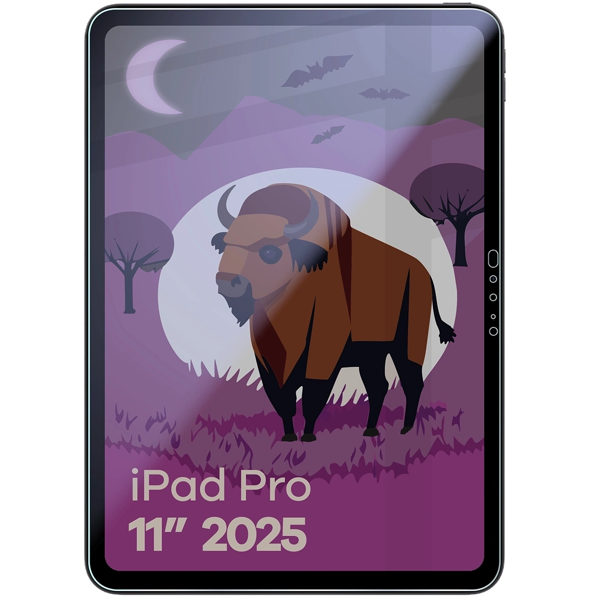 Ochranné sklo Bizon Glass Tab Mule Shadow Apple iPad Pro 11" M5 2025 matte