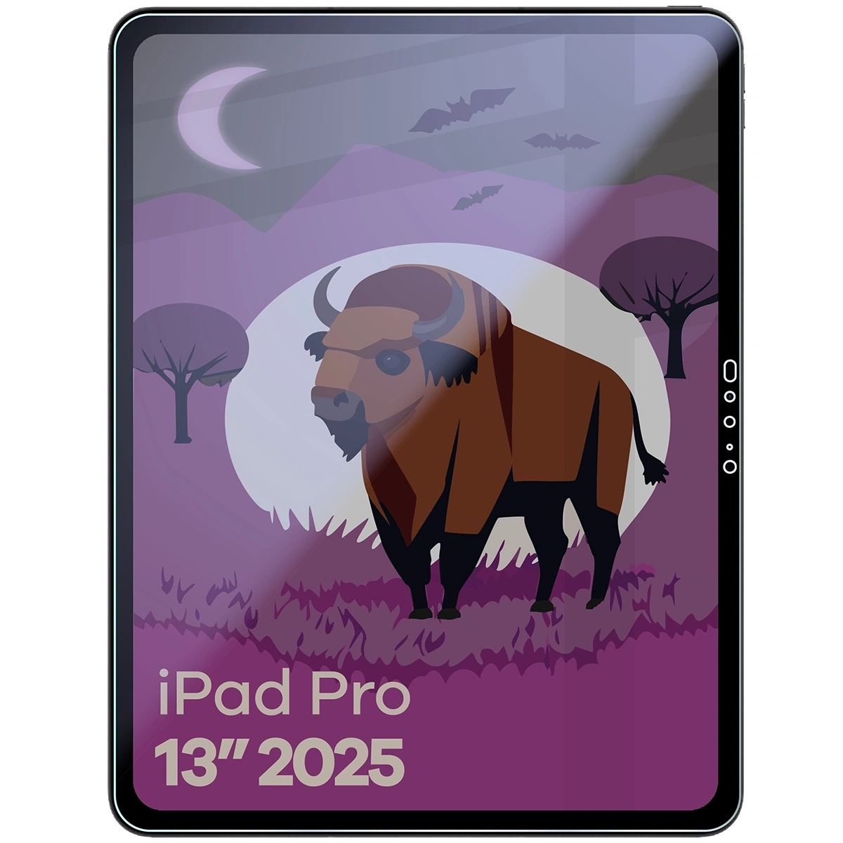 Ochranné sklo Bizon Glass Tab Mule Shadow Apple iPad Pro 13" M5 2025 matte