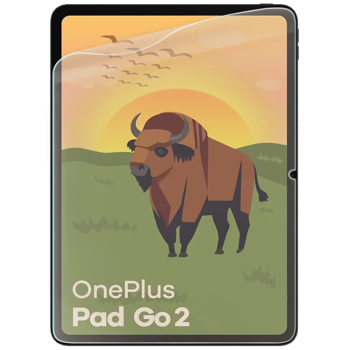 Kryt Bizon Tab Film Matte OnePlus Pad Go 2