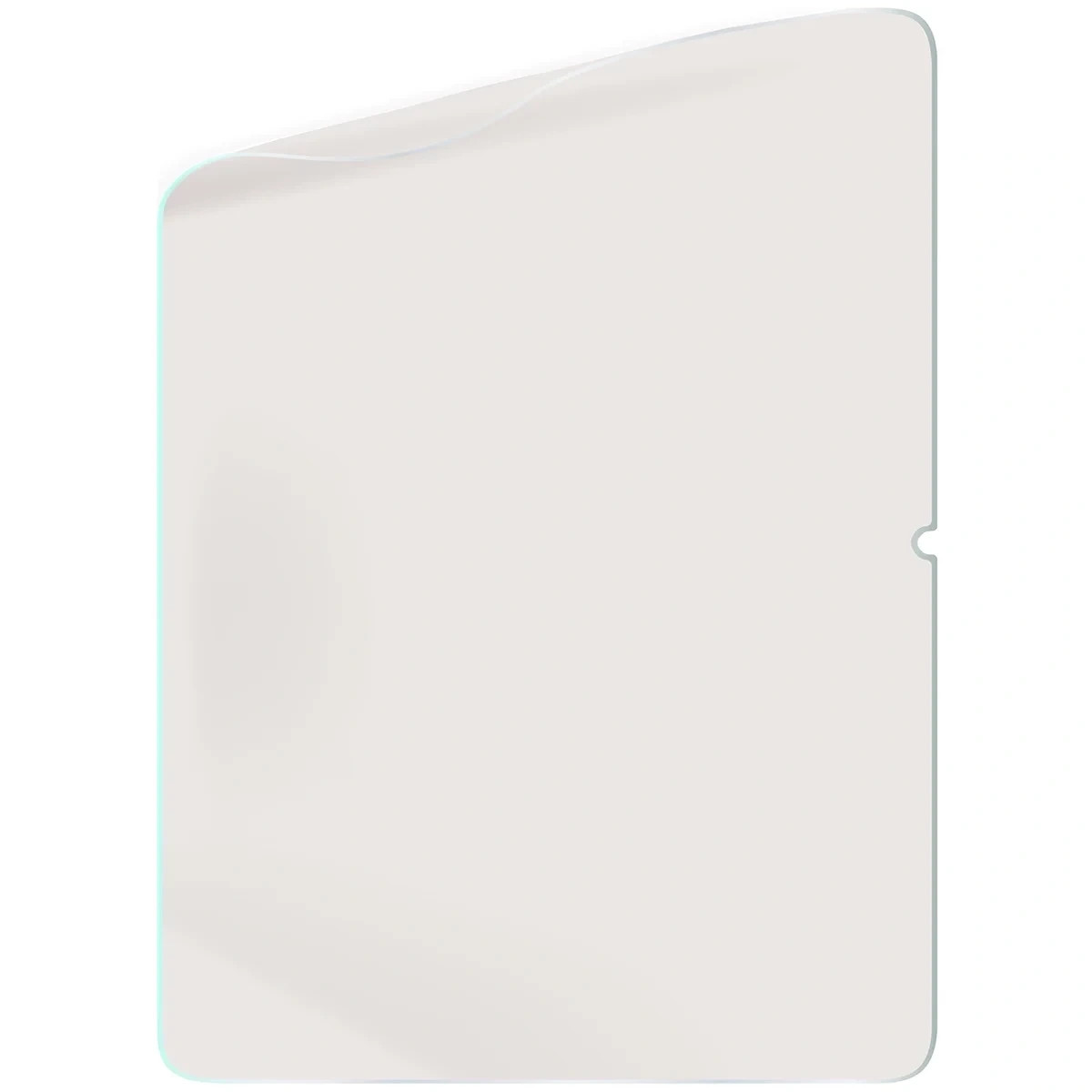 Kryt Bizon Tab Film Matte OnePlus Pad Go 2