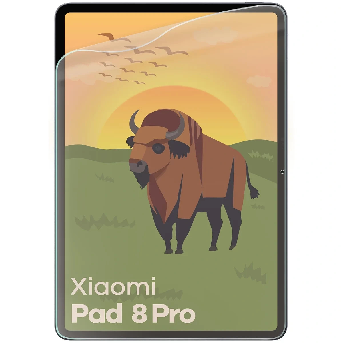 Kryt Bizon Tab Film Matte Xiaomi Pad 8 Pro