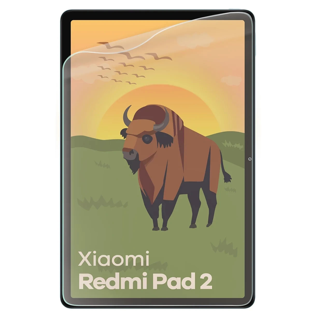 Kryt Bizon Tab Film Matte Xiaomi Redmi Pad 2 9.7"