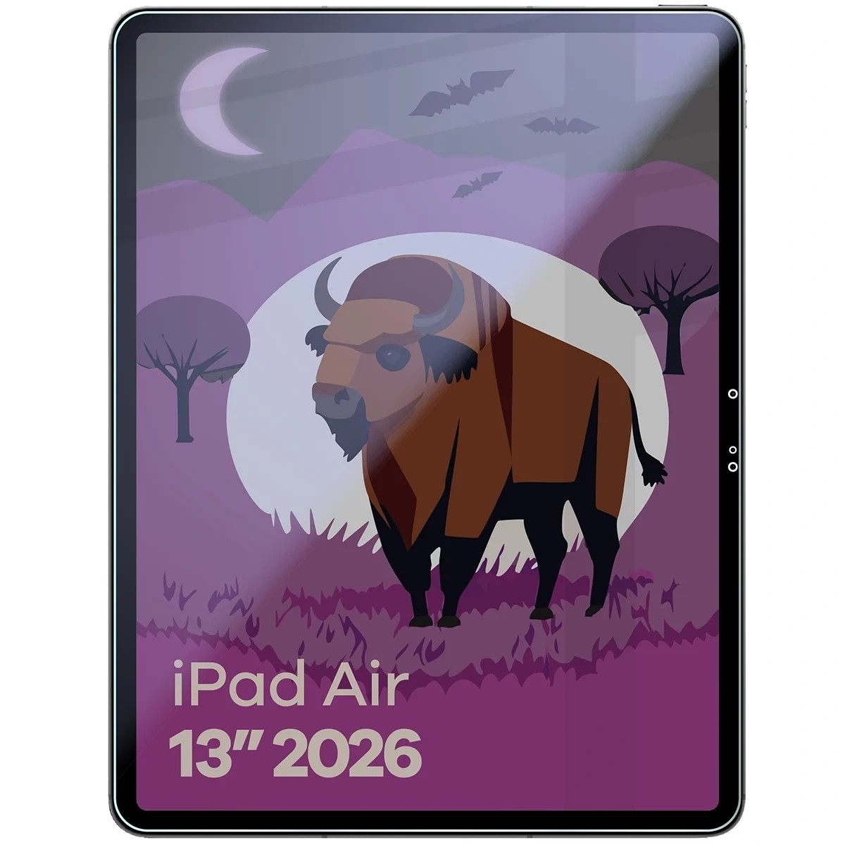 Kryt Bizon Tab Hybrid Shadow Apple iPad Air 13" M4 2026, matte